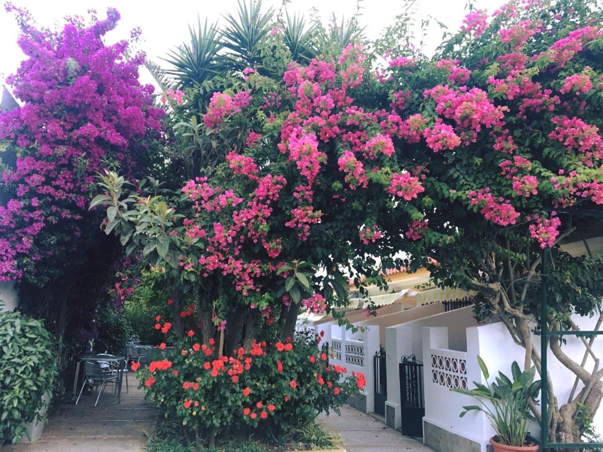 Hotel Antonio Conil Conil De La Frontera Esterno foto
